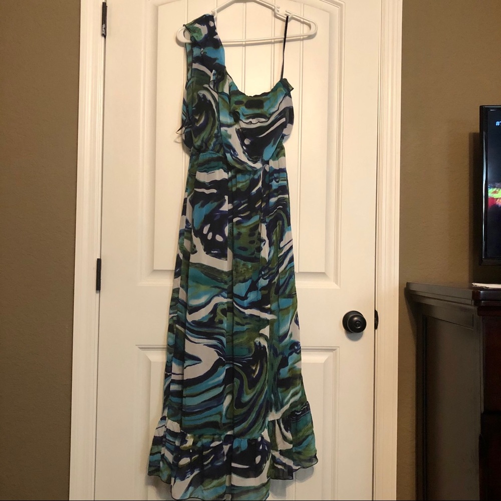 Cynthia Rowles one shoulder maxi dress